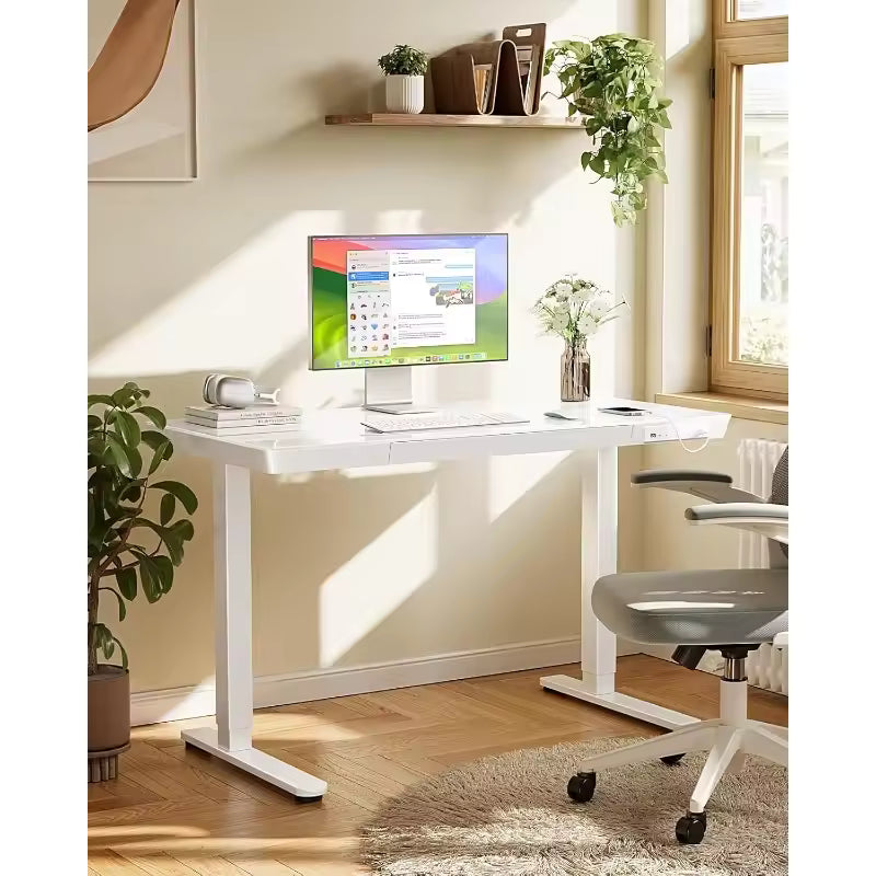 Electric Glass Standing Desk with USB Charging & Storage Drawer Adjustable Height 48x24",Quick Install Home/Office Computer